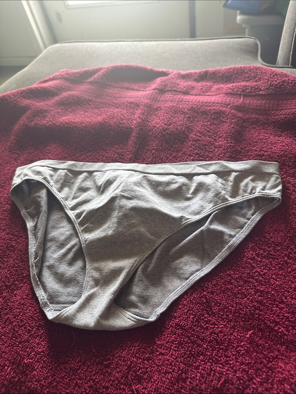 NWOT Victoria’s Secret Gray Cotton Bikini Panty